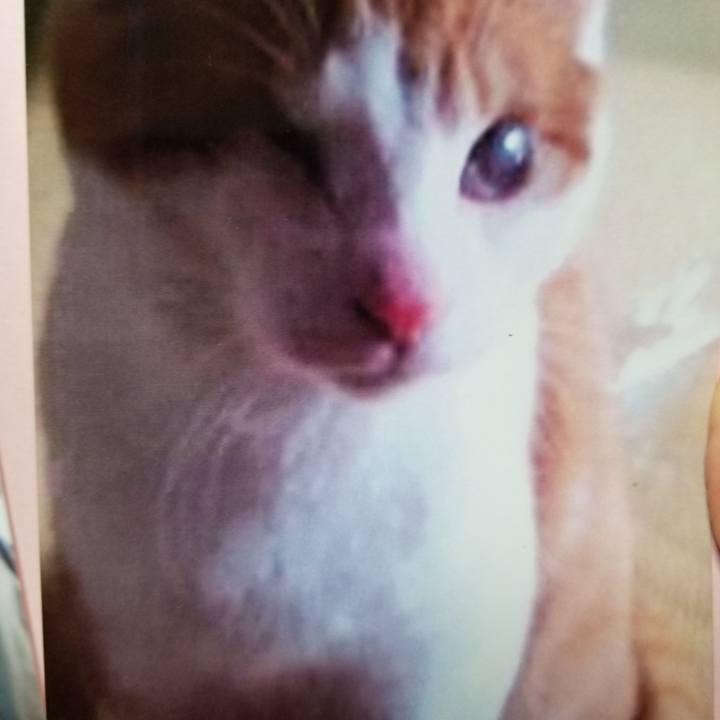 67959163 d045 4f2d af8c 3f994263fadf 1540463591713