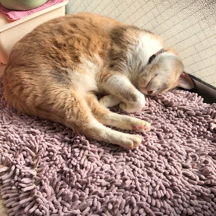 6795c920 abd9 4e29 a801 c5be8ef07d1e 1614039370126