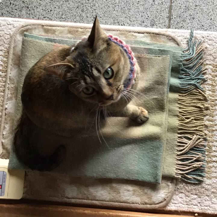 6795fb40 daed 4fff 8baa bee4be0cd5e3 1618211547779