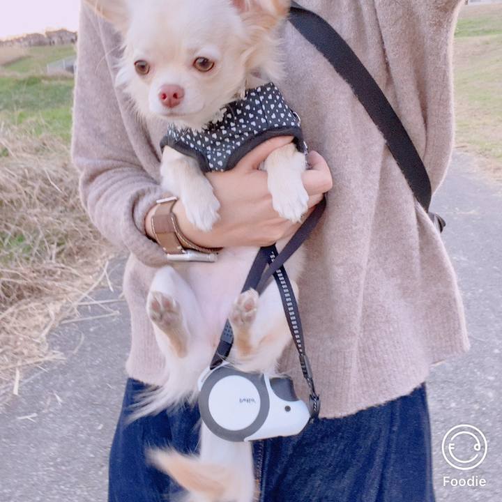 6795fc43 daf5 4425 a9f3 3307188528f0 1608721170667