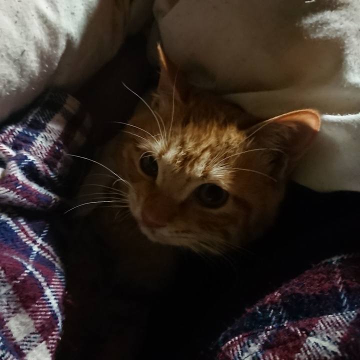 67961512 0e1c 4216 9d01 e7f4aa577888 1640467673003