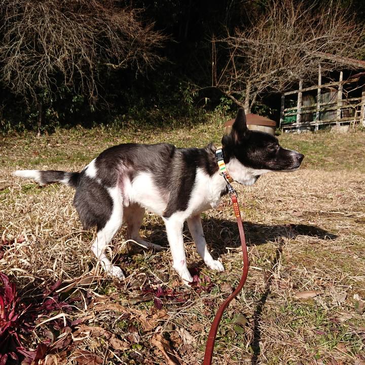 67963c4c 1457 413f 9667 4c26f5ded159 1518498389028