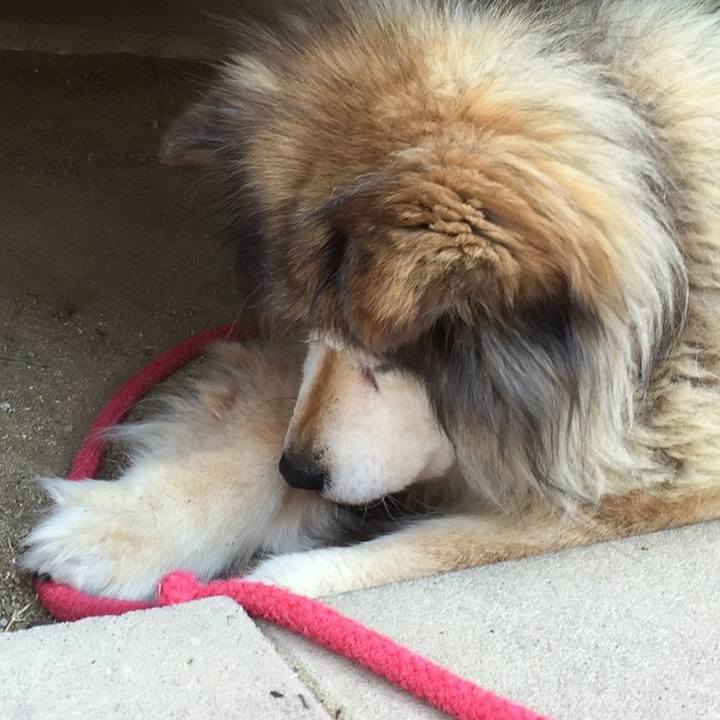 67965b7c 4021 4de8 a949 49a1788730a8 1594833542097