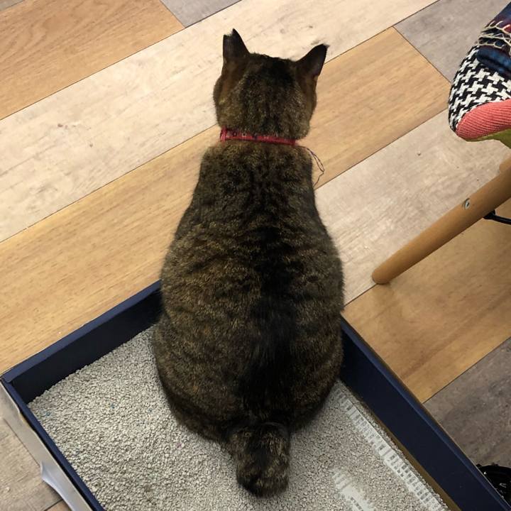 67965d3f 9403 4750 8ae3 c45a121ab4b8 1610099022990