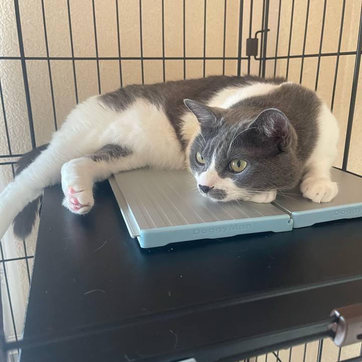 67968117 fd81 42c9 88f0 fbd87dfb1c4f 1694565597117