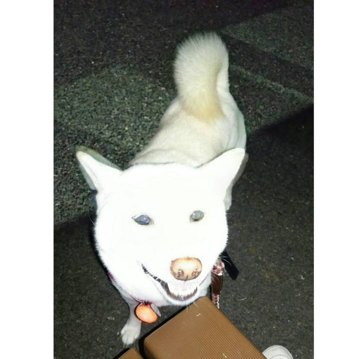 6796af48 5af4 4d81 bd1e c0c9dd8acd4c 1534762176639