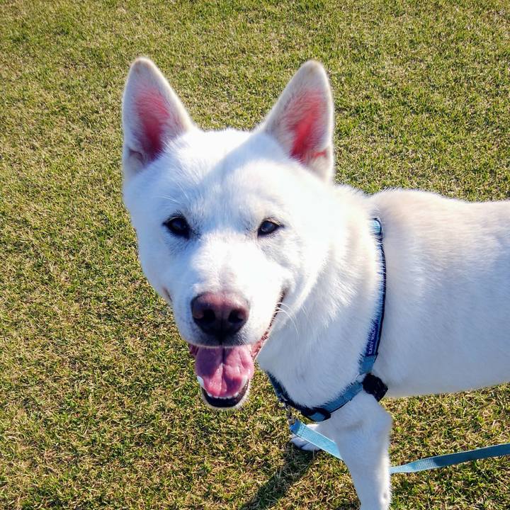 6796f3ea dd57 4a67 8056 6aa1c51a196d 1557016589310