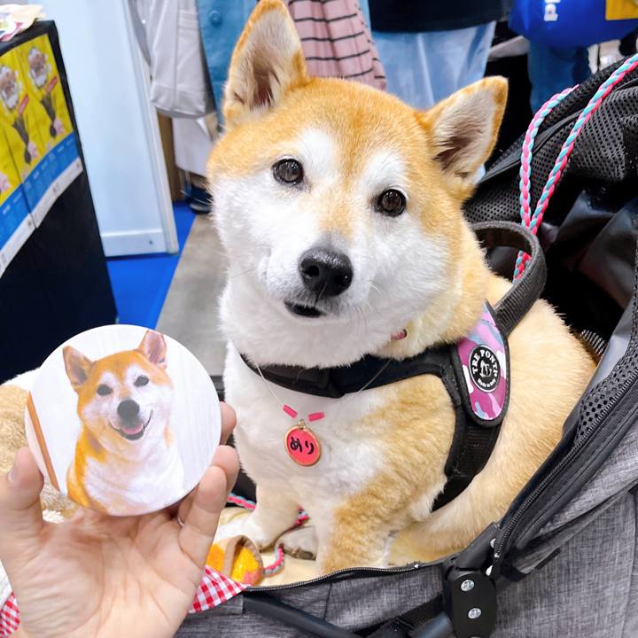 67973316 803e 44e5 b5d8 d16c7b78e642 1712559614344