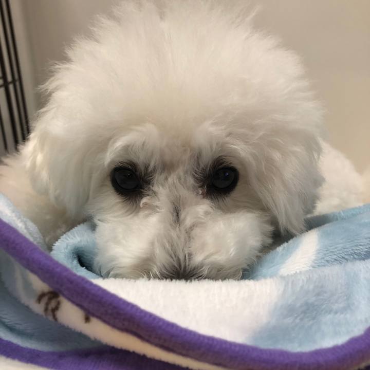 679737c1 cd32 4544 84e6 9e73595aa224 1567734928535