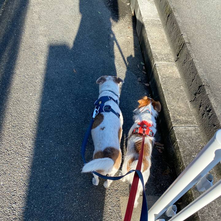 67975506 04c7 426a afdb 0025722f4cbc 1662248565300