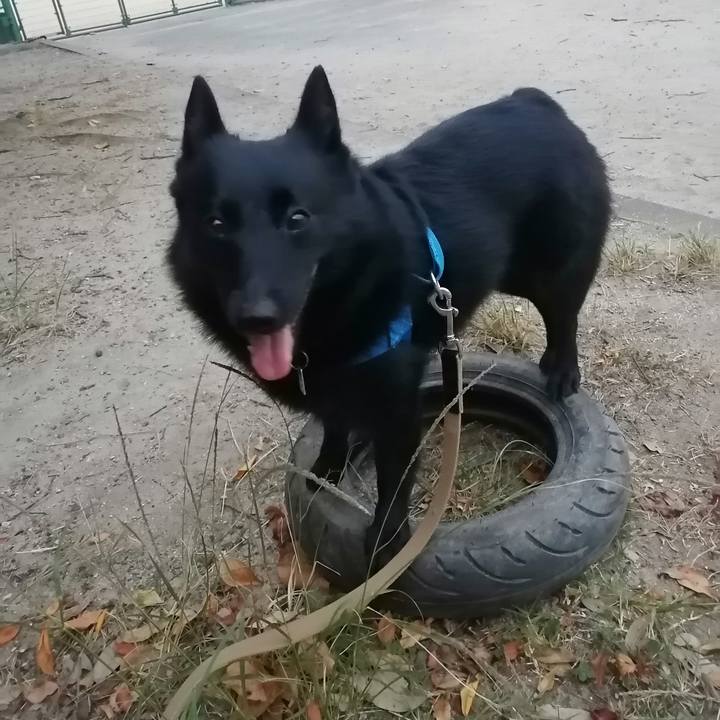 679770e6 0b7a 4455 9eff 0e3a11404294 1634072525628