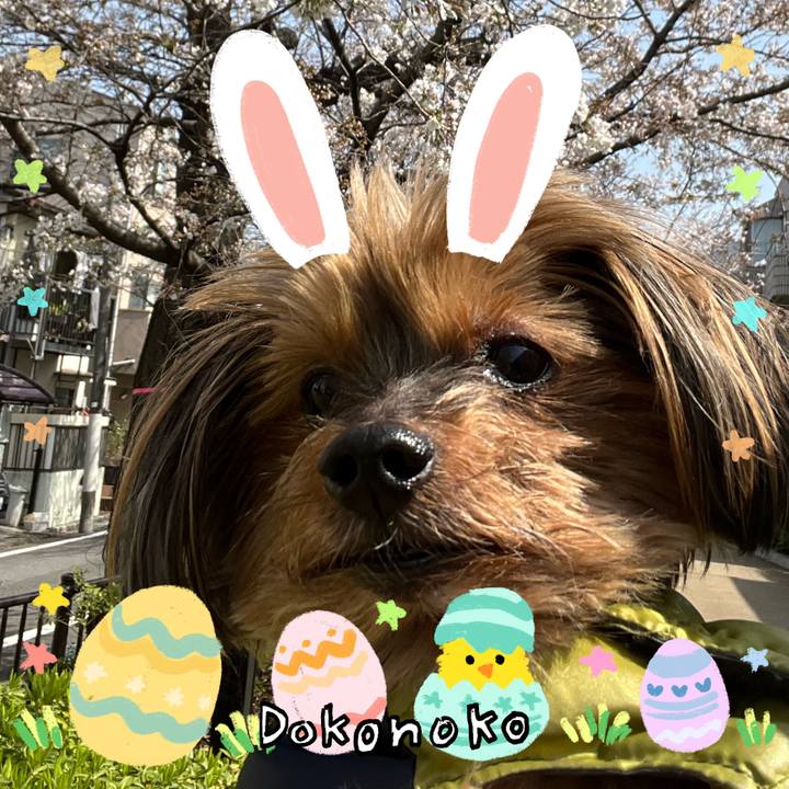 67977166 062e 47ed b911 e57320b6191f 1712202805561