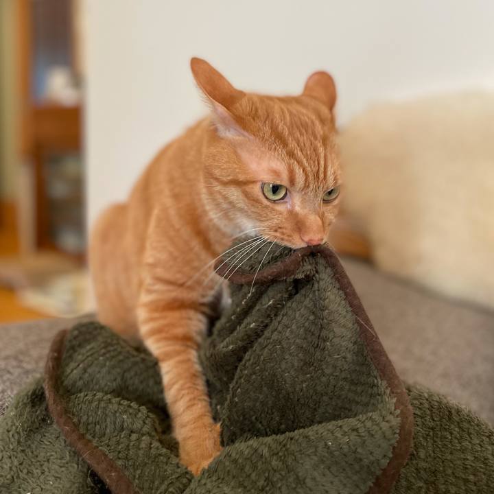 6797dd41 5b91 4995 899f 52cb90113962 1634522711051