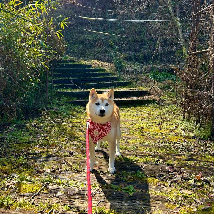 6797e8c0 641f 44da ae0f 43566180e5ea 1708945889028