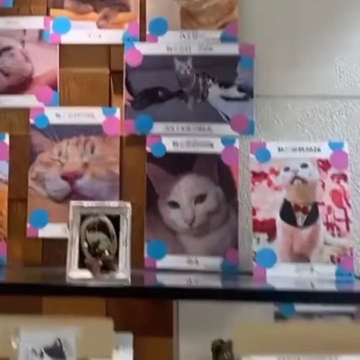 679843ad 4a93 41c2 aaf3 171c304a4205 1770160579603