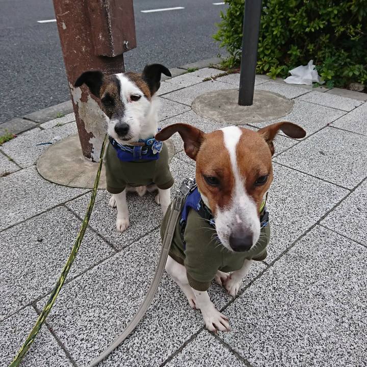 67989921 2061 41d5 894c a97f7340aeed 1553298632285