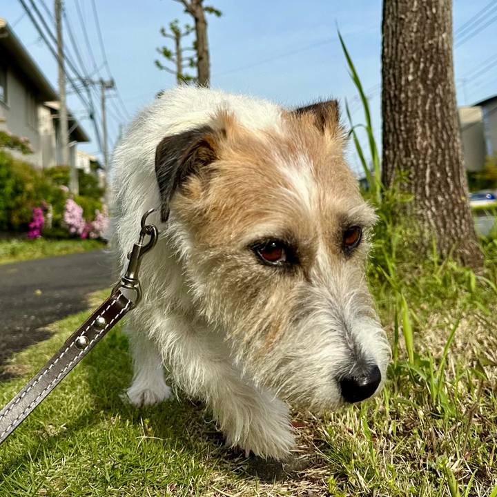 67990218 443e 4466 816b ef088a088a1c 1746427476880