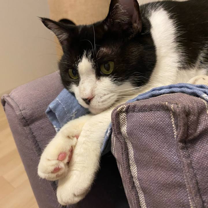 67990369 94f1 4698 b5db e5f897fbddae 1725183309456