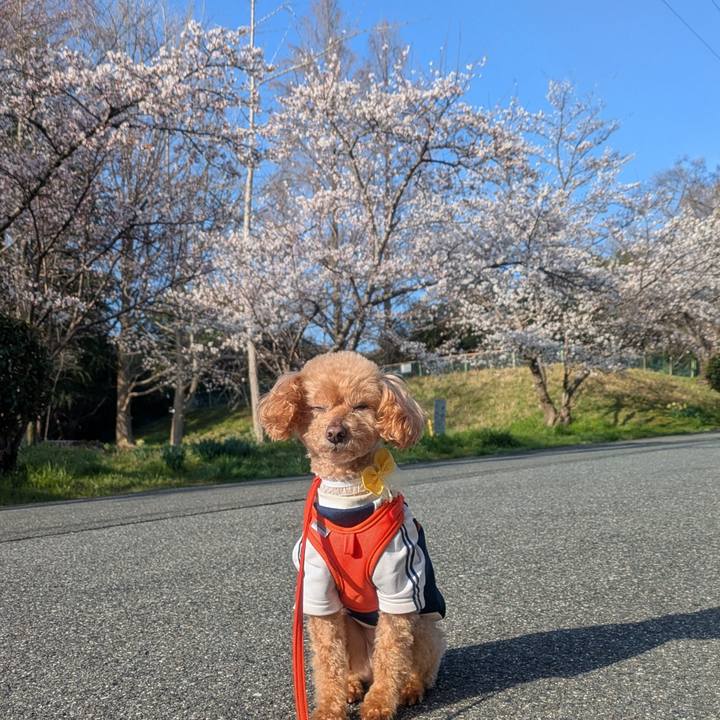 67993723 74ac 46d5 9bae 468f309a38e0 1774567291253