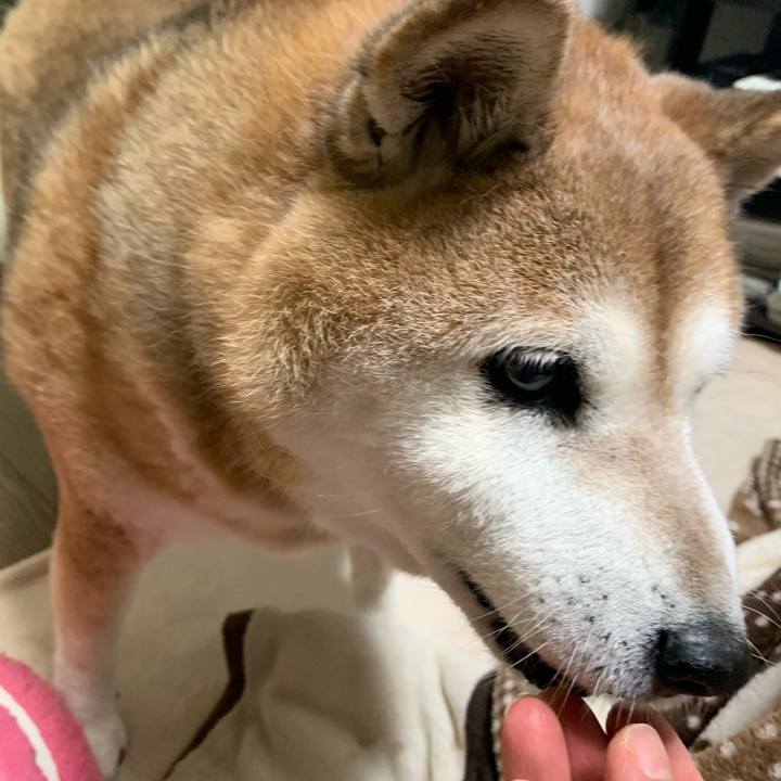 679943e3 6e03 482a b707 b8ed649abd1e 1573641500780