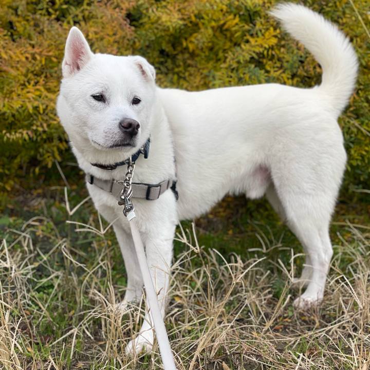 679951cb 0dbc 4d3c 9879 9f6f919ab637 1735449388936