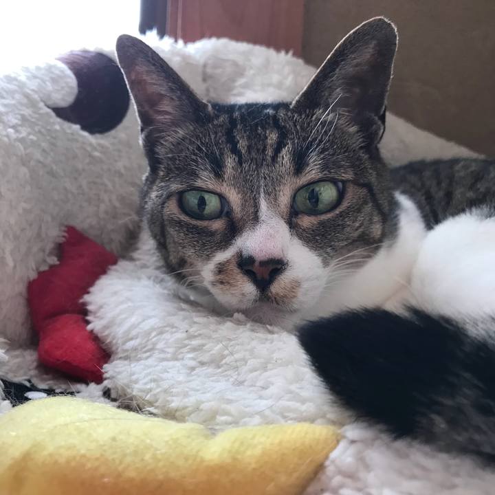 67995eb3 efd5 4bd8 9183 adcaed8f81b6 1527039710336