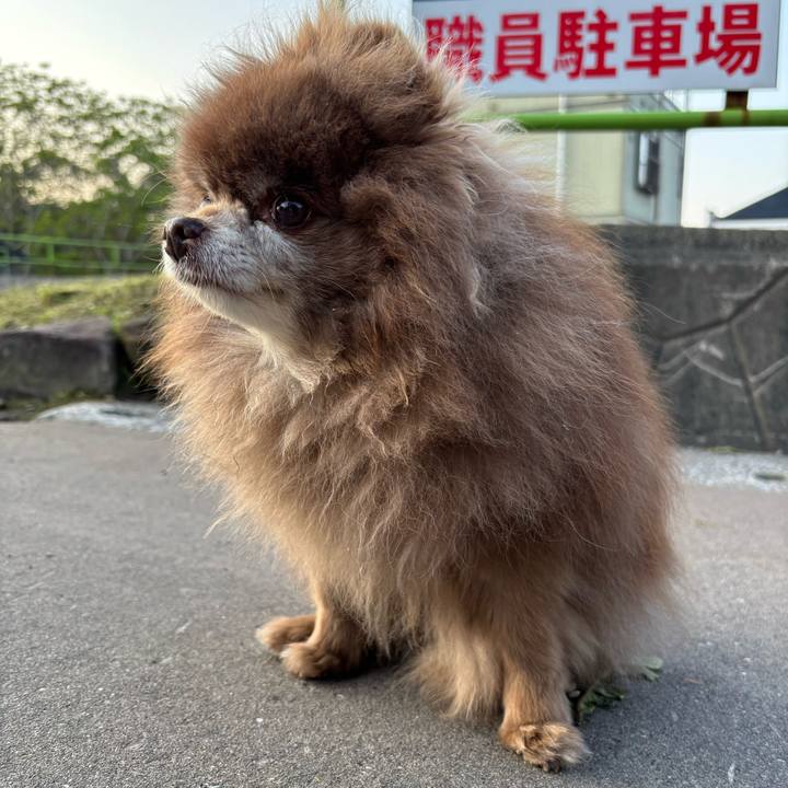 6799702b c047 4e9a a2ef 1d5656d03a8c 1748291663346