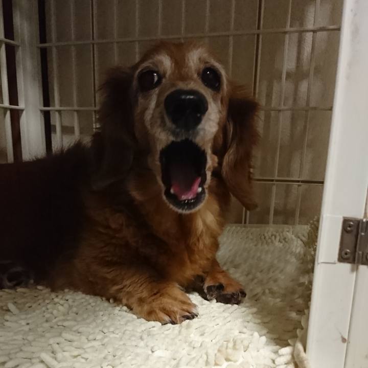 67998a32 69fb 4d9f 8ac2 4804da07d816 1578855328378