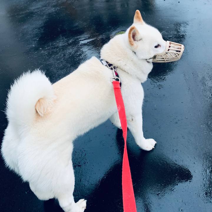 67999966 ea7e 457c 9a39 d212c1f944b8 1596834266106