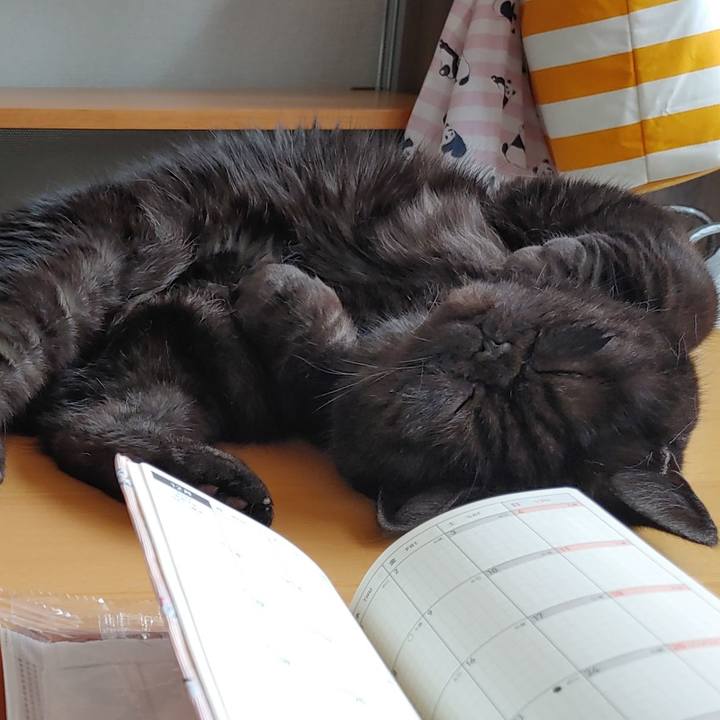 6799e72d e3c2 4a74 a206 387c4a41a1cc 1640478006177