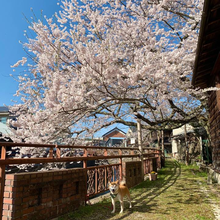 679a138c c225 457d 9fb4 8e6adf930de2 1649416282802