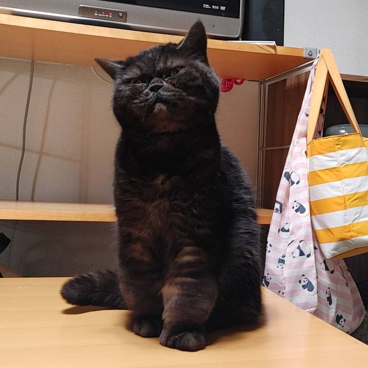 679a237e 5756 428a aa7a 2af9a28843ac 1645619679330