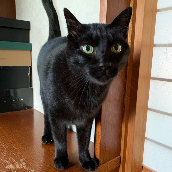 679a51cd fbac 4412 8f03 7cb30e15df03 1542589637879