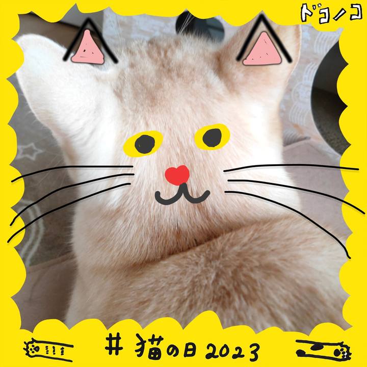 679ab8b9 dec1 4ea4 9864 9a2d9872ca7e 1677026062750