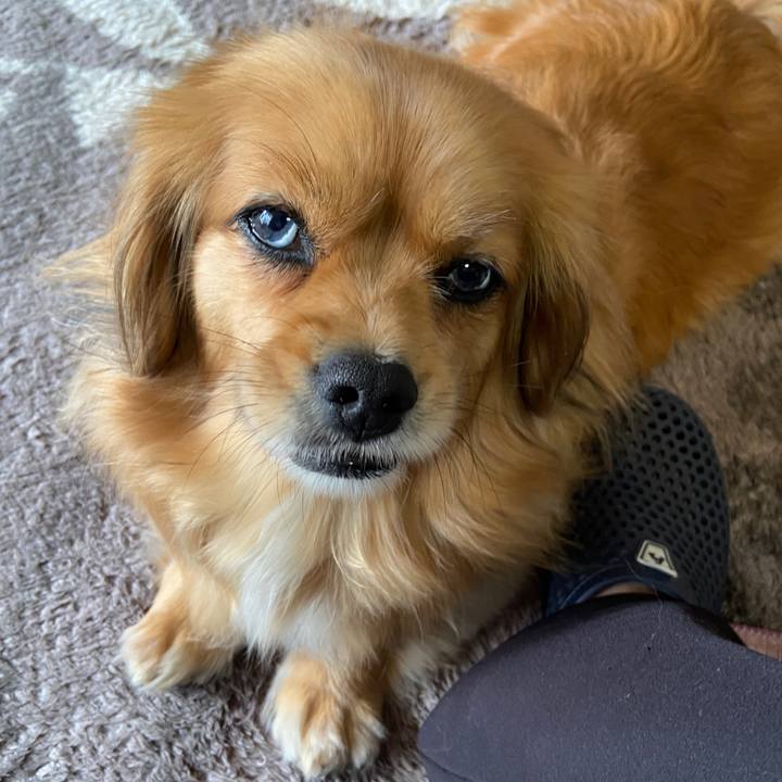 679abb21 990d 43f1 b594 28b4a15193a6 1619913089788