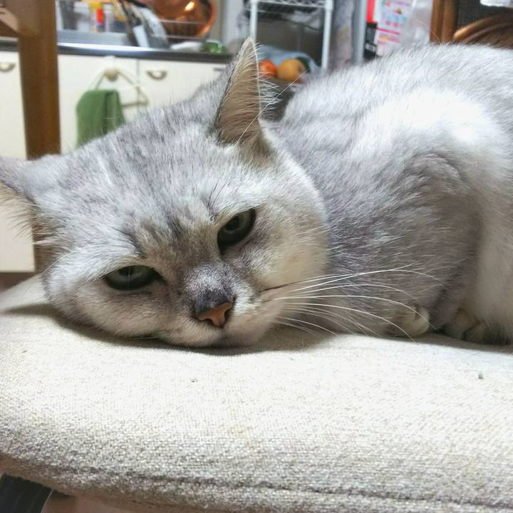 679ad5de bdc6 4fd3 a51e b575078daeca 1512652982769