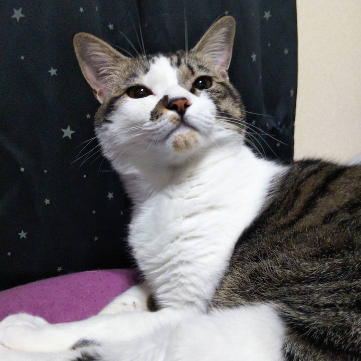 679ae708 a5b9 4cc9 9e26 1b55f8dc31f1 1638880809892