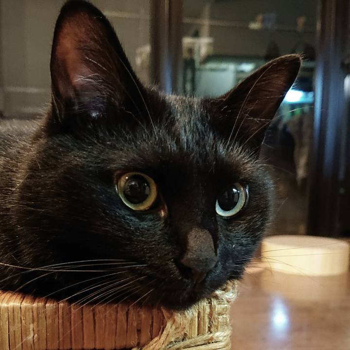 679b02d3 9b64 4067 8556 36c53a98fb00 1536668768668