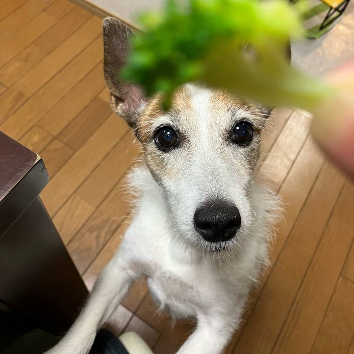 679b3806 54a9 4f21 bd2f 9f75ea43bfd7 1693700453133