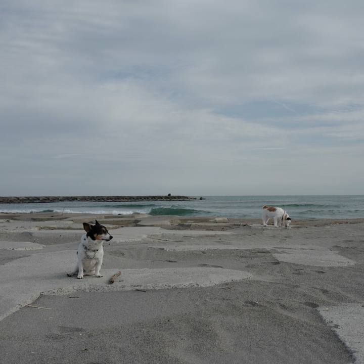 679b422b 7404 425d a77a bc14e68115a5 1523679825390