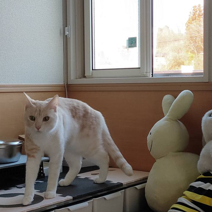 679b7975 274e 4601 8c28 aa1119c830f5 1678088583432