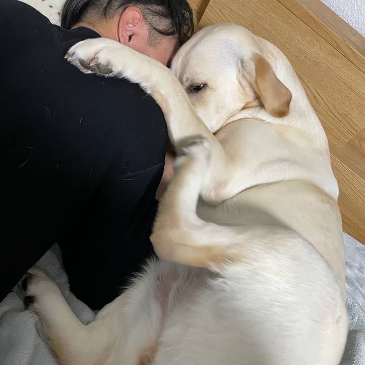 679b859d 812c 47e1 8db0 a9fb4dc6b024 1646400371799