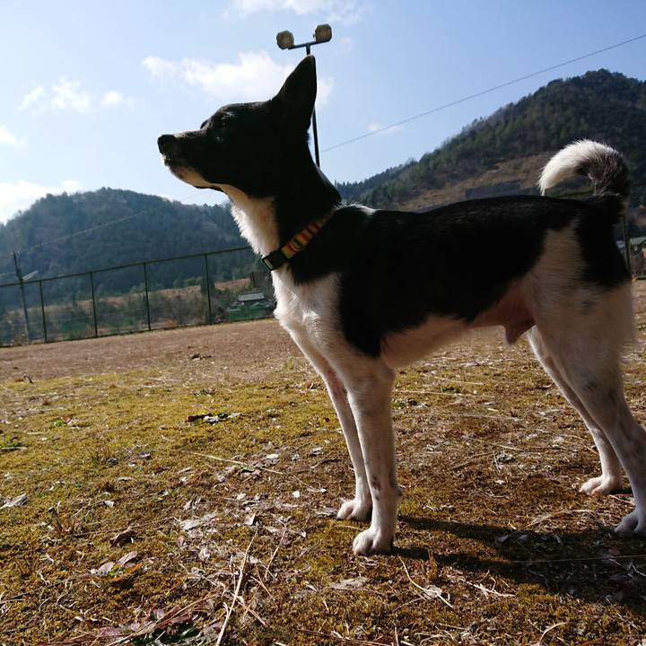 679bbadf 9384 4948 bd53 667e23c72f8d 1519635120950