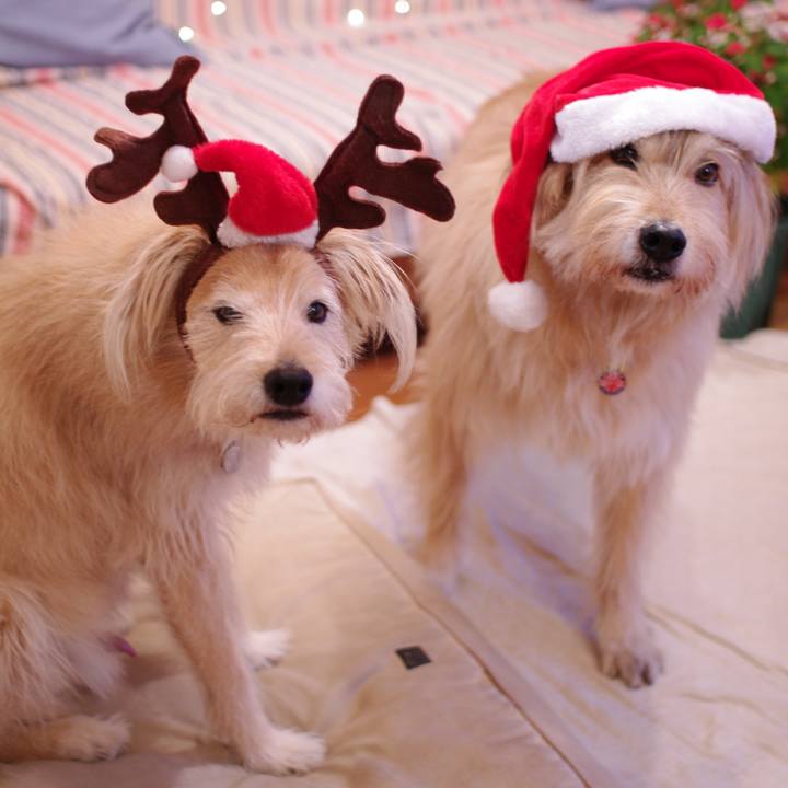 679bbfe7 0314 4bbc acb3 0b82c1e83b5a 1577177707808