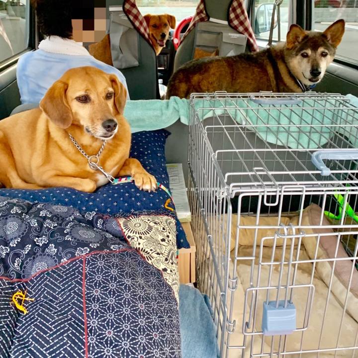 679c1b57 492b 4f70 8c3b f99c17b9edf9 1569313901440