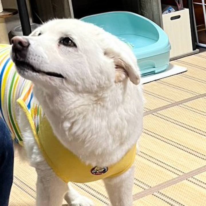 679c274c cf17 43d4 99be 51f815e9c162 1759706920835