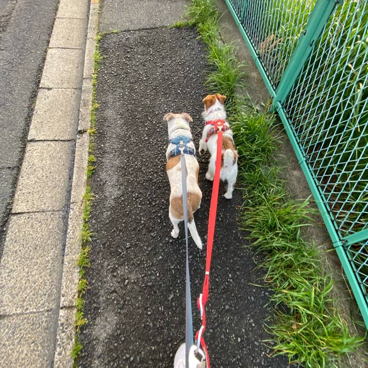 679c5b51 c253 4742 8761 2cd7a815d07c 1681337866795