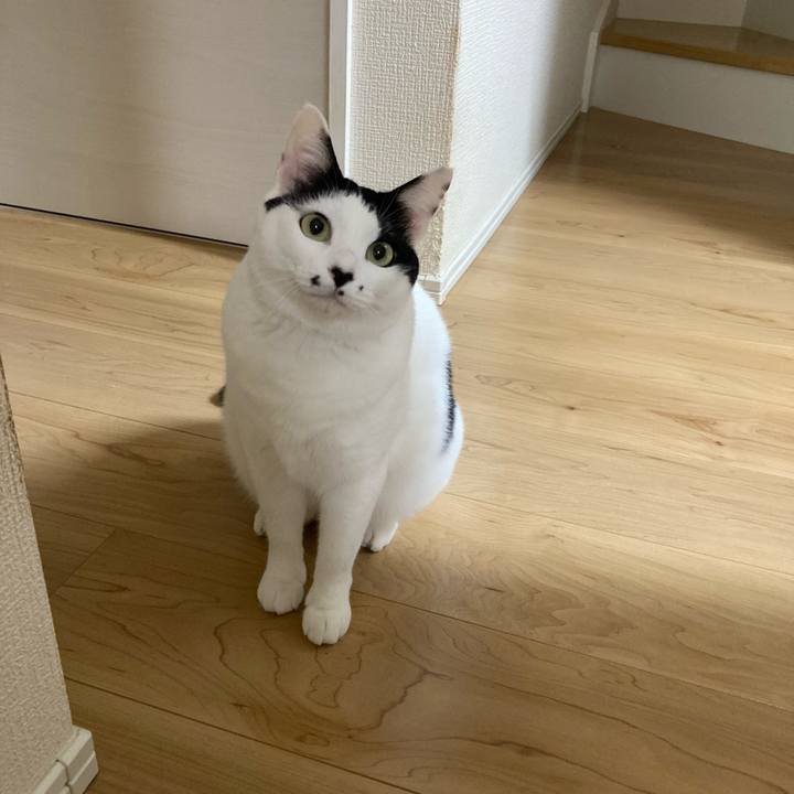 679c926c add1 49c2 846e 74e408663187 1761423638033