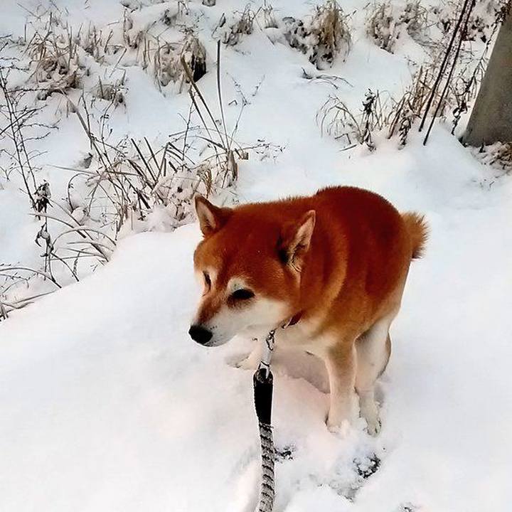 679ca195 b618 405f bb76 dbec29a86219 1674603907301