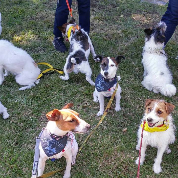 679cc5eb 6dfc 4e7b 9363 882dae1abef4 1538990389880